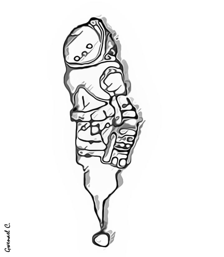 Dessin d'un astronaute robotique