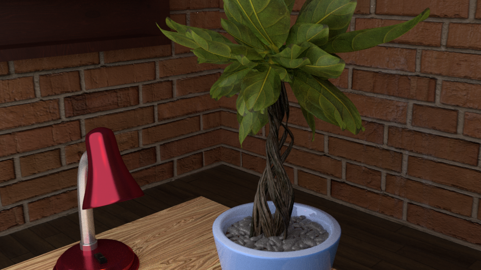 Plante verte posée sur un bureau