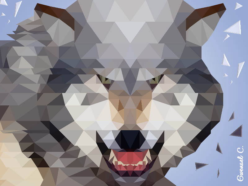 Loup dessiné en low poly