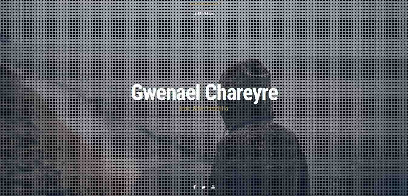 chareyre portfolio